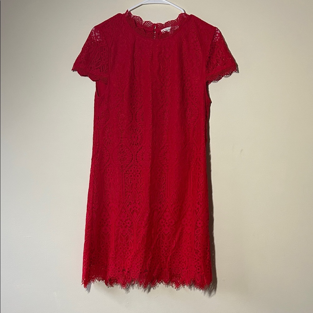 Francesca's Collections Vibrant Red Lace Mini Dress